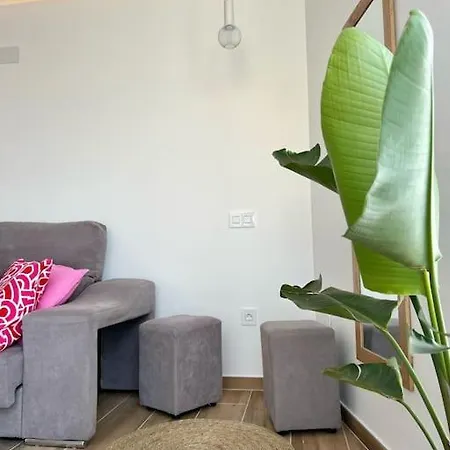 Apartamento Detail Caballo Blanco I La Matanza De Acentejo